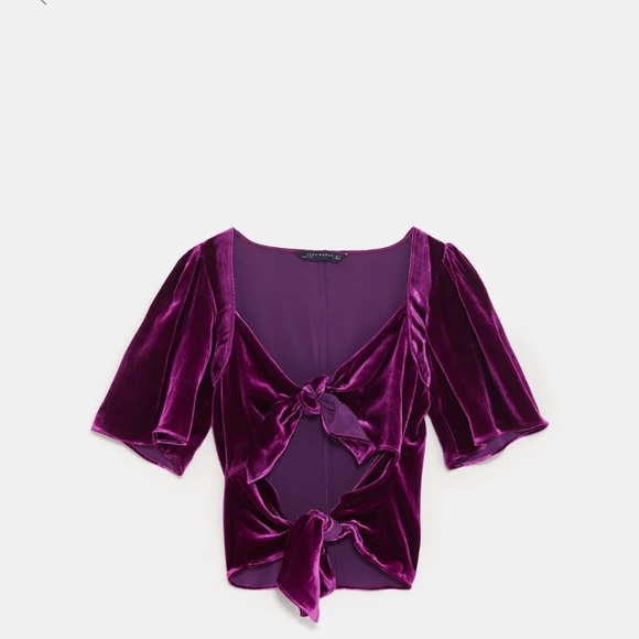Zara Tops - Zara velvet top